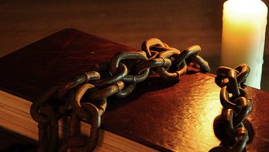 العلم والبحث العلمي، منصة بالعربية