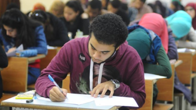 مؤشر المعرفة العربي، منصة بالعربية