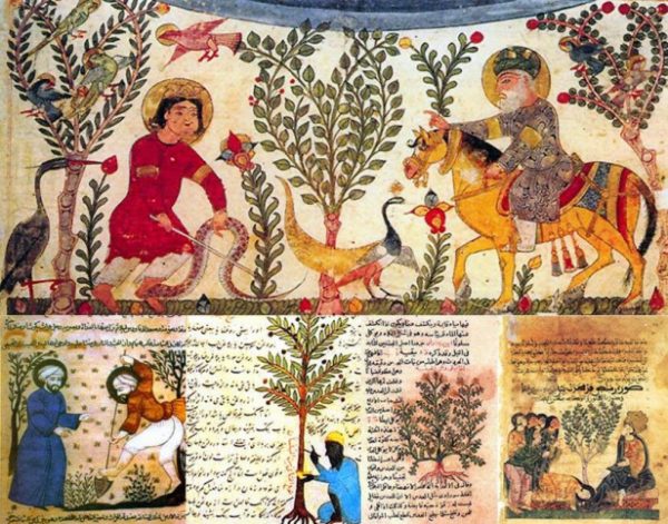 الهرمنيوطيقا، منصة بالعربية