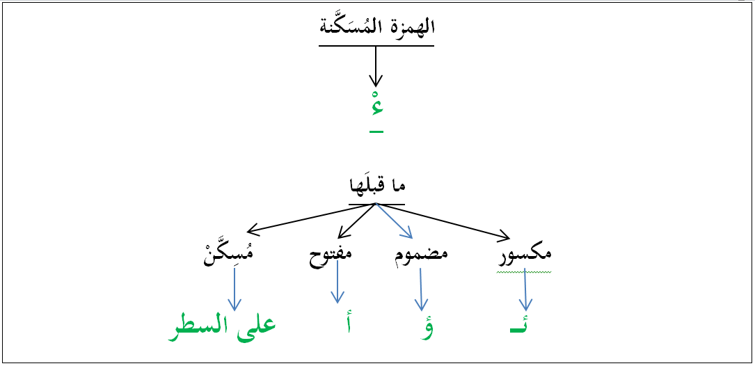 قاعدة الهمزة الساكنة ـ الدليل المنهجي للكتابة بالعربية. قاعدة الهمزة الساكنة ـ الدليل المنهجي للكتابة بالعربية.