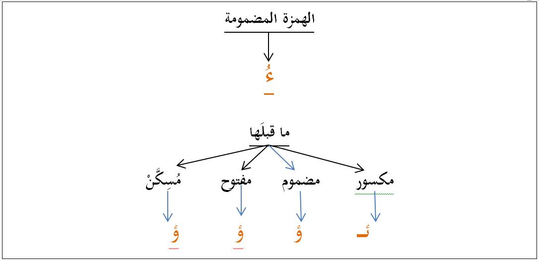 قاعدة الهمزة المضمومة ـ الدليل المنهجي للكتابة بالعربية قاعدة الهمزة المضمومة ـ الدليل المنهجي للكتابة بالعربية