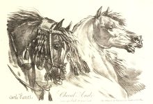 حداء الخيل، منصة بالعربية
