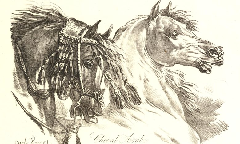 حداء الخيل، منصة بالعربية