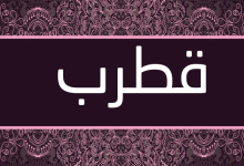 برنامج "قطرب" لتصريف الأفعال العربية، منصة بالعربية