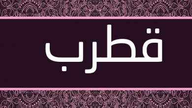 برنامج "قطرب" لتصريف الأفعال العربية، منصة بالعربية