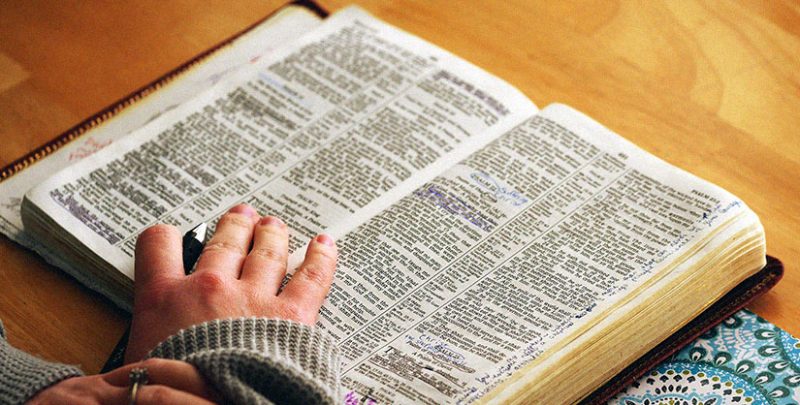 علم التأثيل، منصة بالعربية