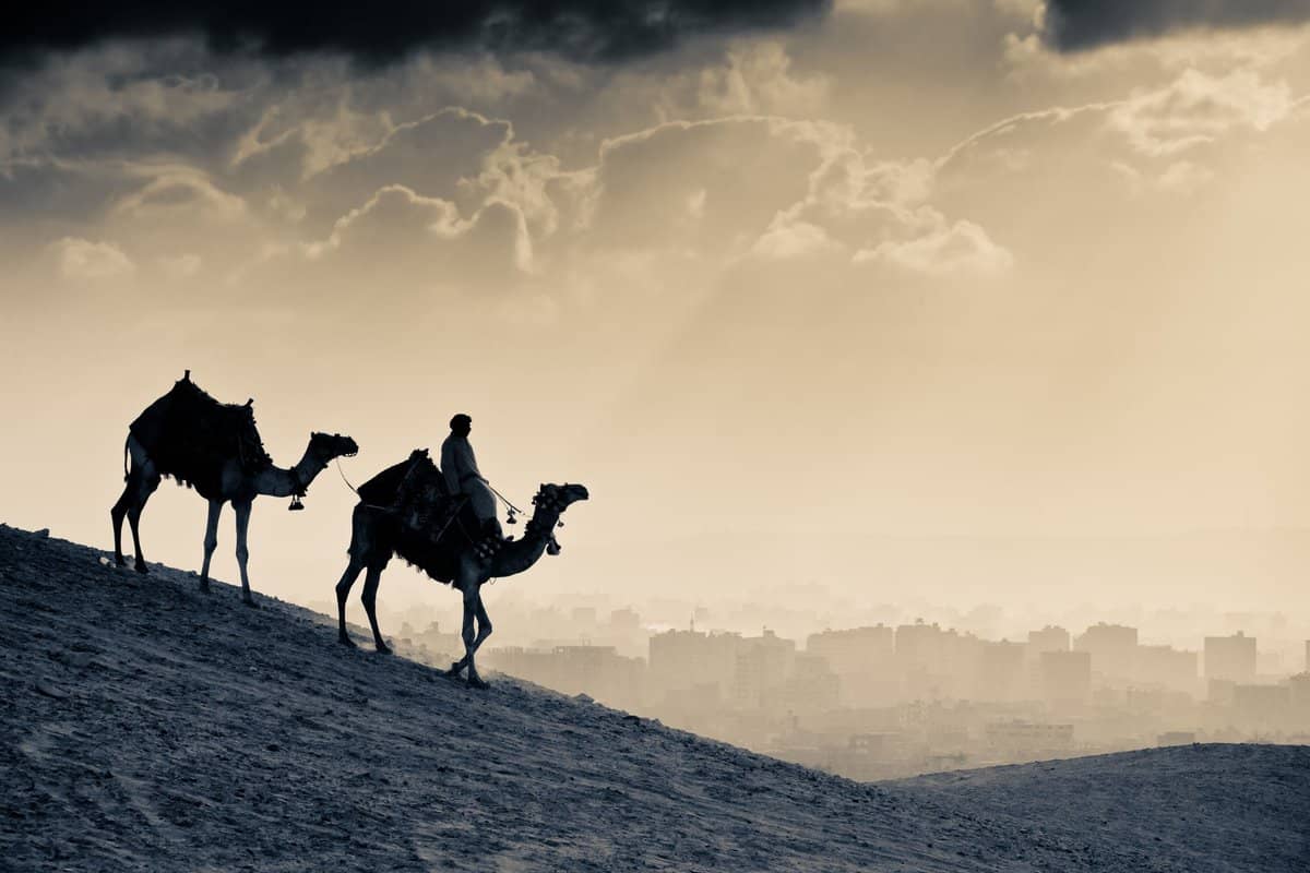 معجم الشعراء العرب، منصة بالعربية