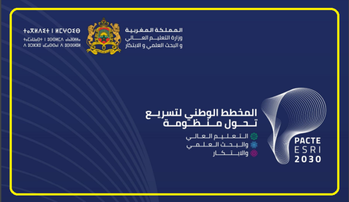 الدكتوراه في المغرب، منصة بالعربية