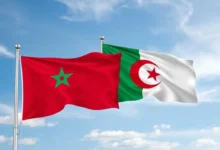 التعليم العالي والبحث العلمي - المغرب والجزائر