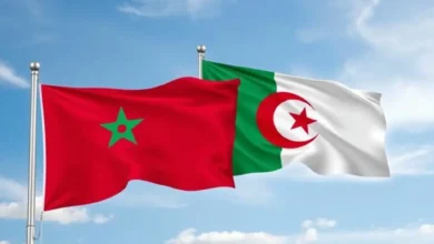 التعليم العالي والبحث العلمي - المغرب والجزائر