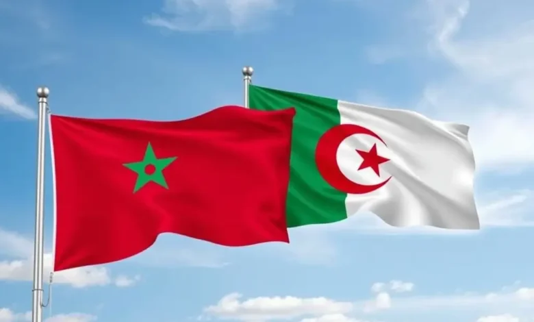 التعليم العالي والبحث العلمي - المغرب والجزائر
