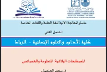 ماستر المعالجة الآلية للغة العامة واللغات الخاصة ـ د ـ سعيد الحنصالي